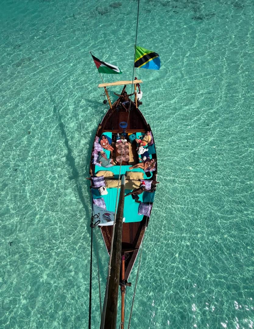 Dolphin in Zanzibar